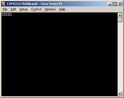 terminal screenshot