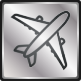 Aviation button